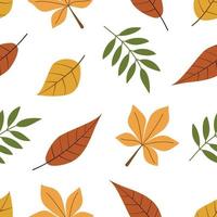 autunno modello con le foglie su un' bianca sfondo. vettore sfondo nel piatto stile. Perfetto per tessuto, sfondo, i Quaderni, involucro carta, scrapbooking