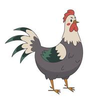 colorato gallo, pollame agricoltura vettore illustrazione su un' bianca sfondo