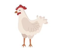 carino pollo con un' becco e un' rosso ciuffo nel cartone animato stile. vettore personaggio di un' uccello a partire dal un' azienda agricola isolato su un' bianca sfondo.