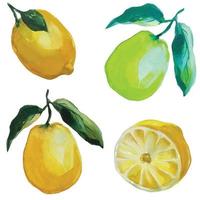 agrume frutta Limone e lime con fogliame illustrazione vettore