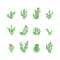 carino cactus e succulente. vettore illustrazione.