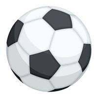 classico pallone da calcio sportivo vettore