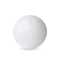 realistico pallavolo sfera, vettore gli sport accessorio