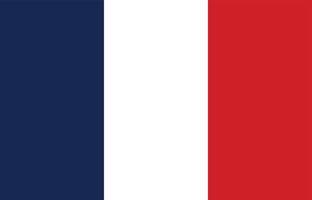 grafica vettoriale di bandiera della Francia. rettangolo bandiera francese illustrazione. La bandiera della Francia è un simbolo di libertà, patriottismo e indipendenza.