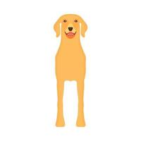 cane labrador animale animale domestico vettore icona davanti Visualizza. isolato cucciolo carino cartone animato contento amico. Marrone in piedi canino silhouette