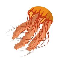 Medusa cartone animato isolato medusa e biologia gelatina pesce. marino e acqua vita animale vettore illustrazione. colorato esotico sottomarino natura con tentacolo e mare natura icona