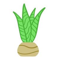 pianta in vaso. foglie verdi fatte in casa di pianta d'appartamento. giardinaggio e botanica. illustrazione piatta. vaso marrone e decorazione della casa vettore