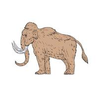 di lana mammut lato disegno vettore