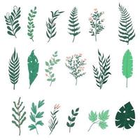 tropicale le foglie vettore illustrazione