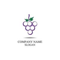 disegno dell'illustrazione dell'icona del modello di vettore del logo della frutta dell'uva