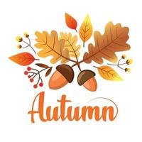 autunno vettore illustrazione di ghianda, le foglie e frutti di bosco per saluto carta o manifesto