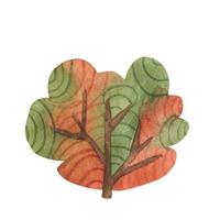 acquerello disegno di autunno alberi, cespugli e deciduo, rosso e giallo fogliame, isolato naturale elementi, mano disegnato illustrazione vettore