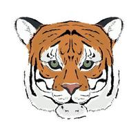 tigre piatto icona vettore
