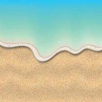 sabbia di il spiaggia vettore