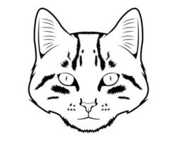 gatto disegno vettore illustrazione