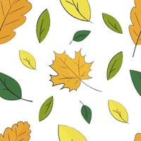 modello senza cuciture delle foglie di autunno vettore
