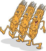 cartone animato orecchie di grano cibo comico personaggio in marcia vettore