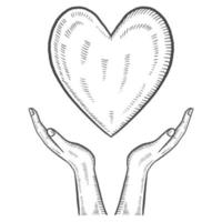 mano hold cuore beneficenza umanitario internazionale giorno isolato scarabocchio mano disegnato schizzo con schema stile vettore