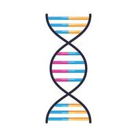 dna struttura molecolare vettore