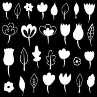 collezione di fiori e foglie di doodle vettore