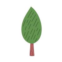albero pianta coniferus vettore