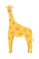 giraffa simpatico cartone animato. illustrazione vettoriale di un animale africano isolato su bianco