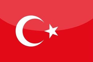 Turco bandiera vettore mano disegnato, turco lira vettore mano disegnato