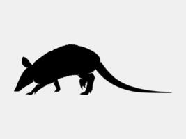 armadillo vettore silhouette