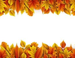 sfondo di foglie d'autunno vettore