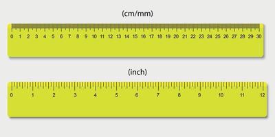 governanti, segnato nel centimetri e pollici vettore