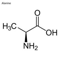 scheletrico formula di alanina vettore