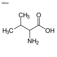 scheletrico formula di valina vettore