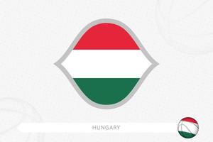 Ungheria bandiera per pallacanestro concorrenza su grigio pallacanestro sfondo. vettore