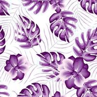 alla moda viola gelsomino fiori tropicale senza soluzione di continuità modello con bellissimo mostro palma le foglie e pianta fogliame illustrazione su bianca sfondo. estate vettore design per camicia stoffa o struttura