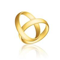 d'oro realistico nozze anelli con riflessione anniversario romantico sorpresa vettore