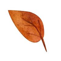 autunno le foglie. acquerello illustrazione vettore
