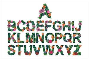 fiori alfabeto colorato vettore su bianca sfondo