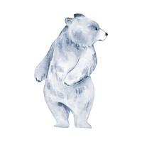 polare orso acquerello isolato su bianca sfondo. selvaggio animale illustrazione. bosco orso acquerello disegno design vettore