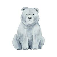 polare orso acquerello isolato su bianca sfondo. selvaggio animale illustrazione. bosco orso acquerello disegno design vettore