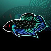 betta pesce mascotte. esport logo design vettore