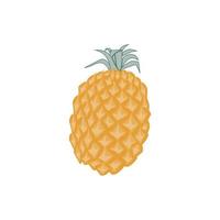 ananas e vitamine simbolo vettore illustrazione. illustrazione con un' tropicale tema