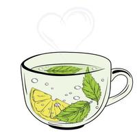 una tazza di tisana. illustrazione di riserva di vettore. bevanda calda con foglie di limone e origano. Isolato su uno sfondo bianco. logo del tè verde. vettore