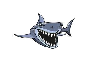 Pericolo squalo attacchi vettore
