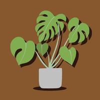 semplicità monstera pianta disegno a mano libera design piatto. vettore