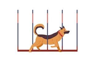 pastore cane formazione su agilità campo piatto vettore illustrazione. cane in esecuzione agilità slalom. isolato.