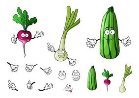 ravanello, zucchine e cipolla verdure vettore
