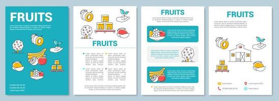 layout del modello di produzione di frutta. coltivare prodotti biologici. volantino, opuscolo, stampa di volantini con illustrazioni lineari. layout di pagine vettoriali per riviste, relazioni annuali, manifesti pubblicitari