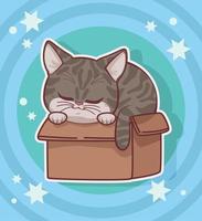 carino gatto nel scatola con stelle vettore