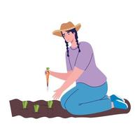femmina contadino piantare carote vettore