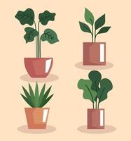 quattro piante d'appartamento in vaso vettore